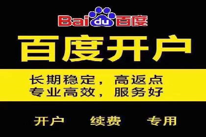 百度广告费用案例，揭秘成功广告秘诀